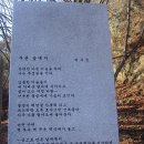 서대문구에 위치한 안산(鞍山) 이미지