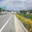 장천한의원 이미지