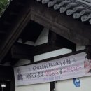 다연전통차&꽃차