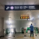 아르케조명 | 연신내피부과 탈모치료 잘하는곳 추천, 아르케 솔직후기 (30대 여자 두피관리 방법)