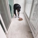 리조트팰리즈 이미지