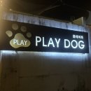 플레이독애견풀빌라 | 가평 마당 짱 넓은 애견 펜션 ‘플레이독애견풀빌라’