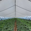 태경산업㈜ 이미지