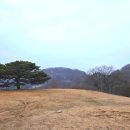 송화목장 이미지