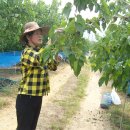 이상재농장 이미지