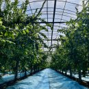 성하농장 이미지