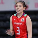 일본 여자 배구 대표팀 라인업 이미지