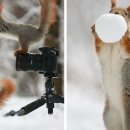 오늘부터 사진작가 이미지