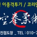 한국형종합격투기진접공권유술