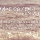 솔로몬슈퍼 이미지