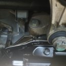 대한카독크 이미지