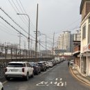 뽀꼬뽀꼬 | 컨셉맛집 애견동반 스튜디오 뽀꼬포토 방문후기🐶💛