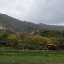 설매재자연휴양림 이미지