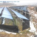 괴산군불정면세평보건진료소 이미지