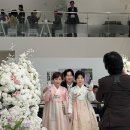 청주 모든날 웨딩홀 후기｜반려견 화동 가능한 예식장 솔직 후기 (장점·단점 총정리)