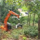 산림기능사 국가기술자격증 과정 이미지