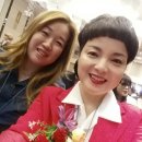 소나무헤어아트 이미지