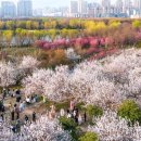 만개 서울뉴스통신