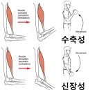 양벌 이미지