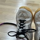 배드민턴 | 배드민턴 10개월차 후기