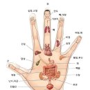 스포짐휘트니스 사우나 이미지