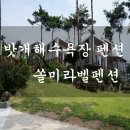 쏠미라벨 네이버블로그
