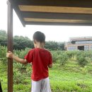 고선농장 이미지