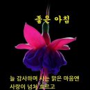 지혜로운 사람은 어디서나 배운다 이미지