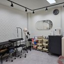 더 도도하개 이미지