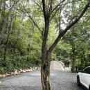 하늘마당펜션B | 🏕️밀양 하늘하루펜션&amp;캠핑 2-B 사이트 2박 후기