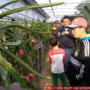 삼성농장 (2) 이미지