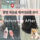 대박미용실 | 합정 미용실 레이어드펌 후기✨ 자연스러운 볼륨 대박 (피움헤어)
