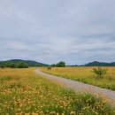 구미강정 이미지