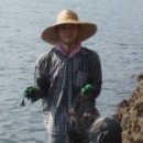 앞골농장 네이버블로그