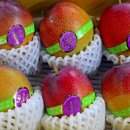 훈이청과 이미지