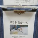 LH해온채 이미지