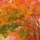 캠핑장펜션 이미지