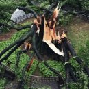 느티나무사거리 이미지