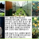 백번농장 이미지