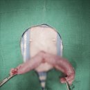 로지동물의료센터 이미지