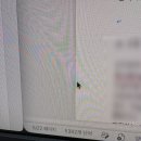 함초롱 | 맥에는 함초롱바탕이 없나?