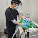 보담동물병원 이미지