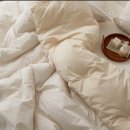 행복한 이불 이미지