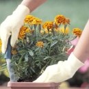 가락보건지소 이미지