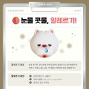 계절엔 동물의료센터 이미지