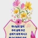 마하나임 - 구미시 | 마하나임