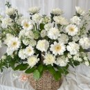 유한회사 태호 이미지