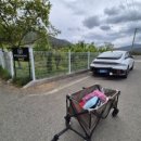 르미르몽 풀빌라 펜션 이미지