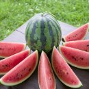 샘양지 마을 이미지