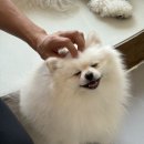 마인드몽 유치원 이미지